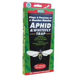 Thumbnail of Aphid WhiteFly Trap