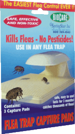 Thumbnail of Flea Trap Capture Pads - Flat