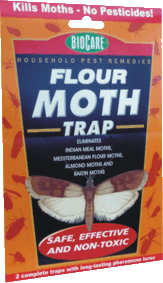 Flour Moth Trap