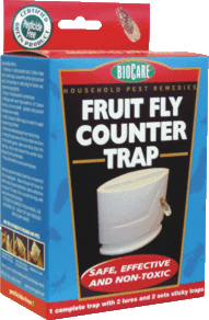 Thumbnail of Fruit Fly Counter Trap