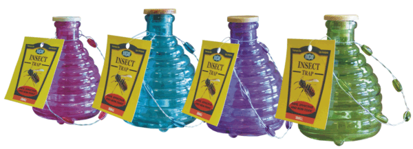 Thumbnail of Glass Insect Trap - Small