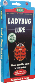 Thumbnail of Ladybug Lure