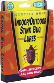 Thumbnail of Stink Bug Lure