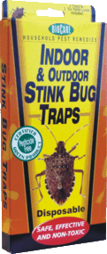 Thumbnail of Stink Bug Trap