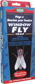 Thumbnail of Window Fly Trap