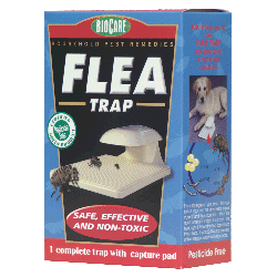 Flea Trap