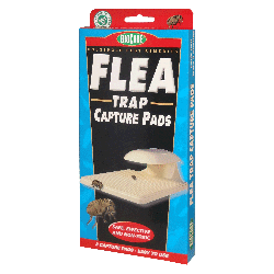 Flea Trap Capture Pads